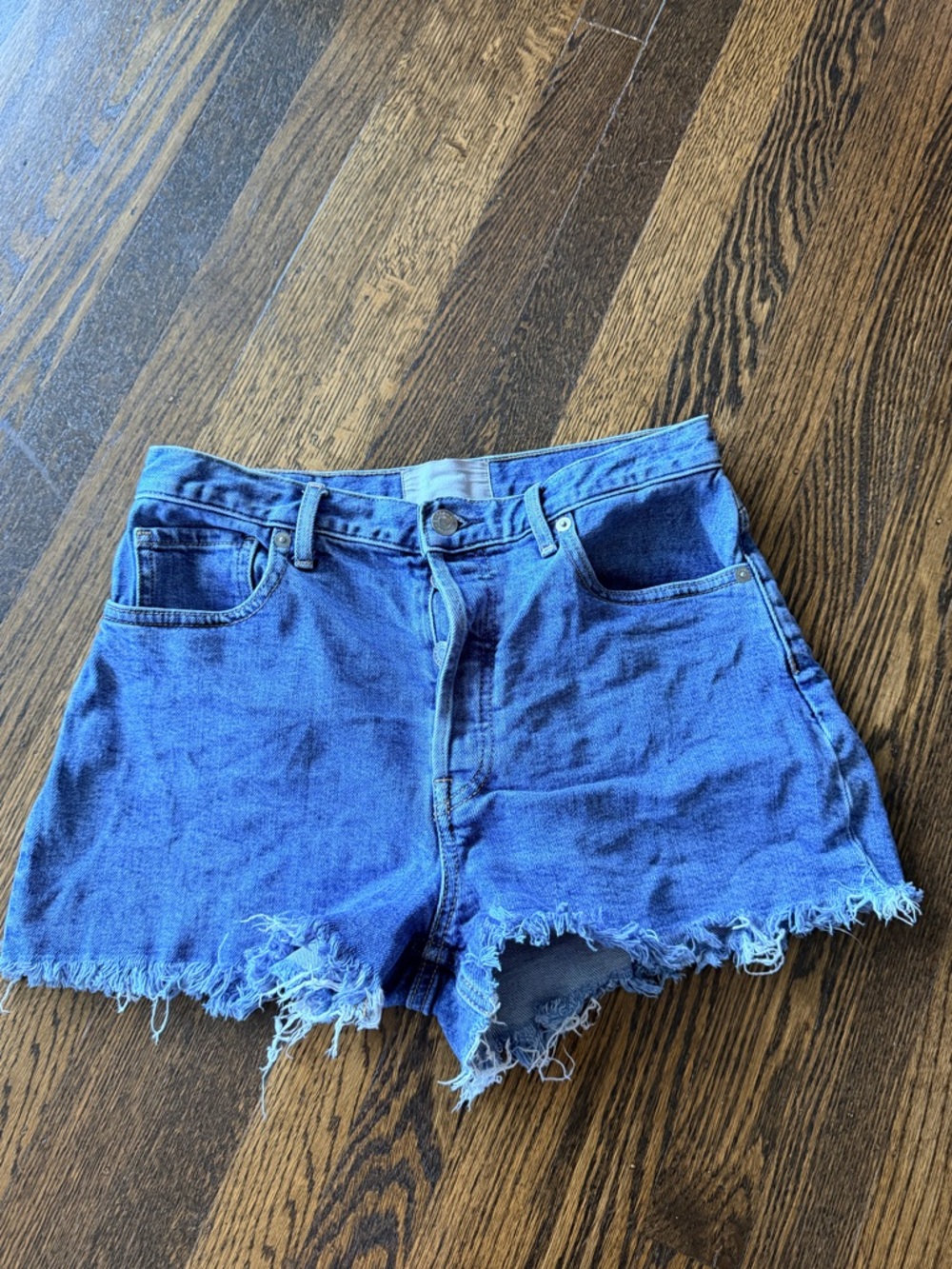 Everlane Blue Frayed Hem Denim cheeky Shorts 27